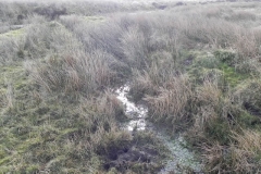 Embercombe Water