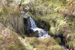 10. The first cascade