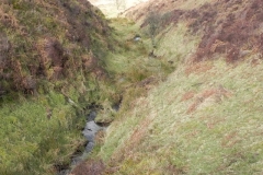 11. Flowing down Ember Combe