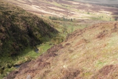 13. Flowing down Ember Combe