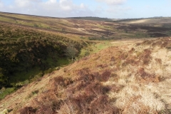 15. Looking downstream