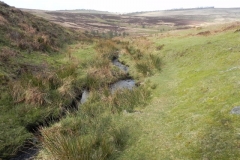 17. Flowing down Ember Combe