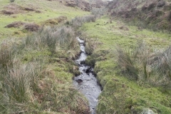 18. Flowing down Ember Combe