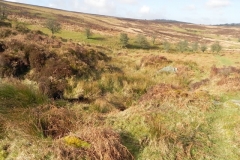 19. Looking downstream