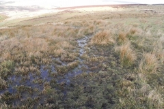 2. Looking downstream from source
