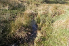 20. Flowing down Ember Combe