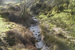 22. Flowing down Ember Combe