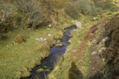 23. Flowing down Ember Combe