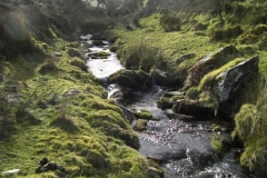 24. Approaching confluence with Chetsford Water