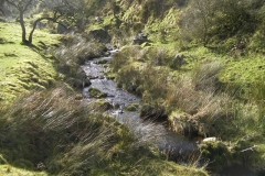 25. Approaching confluence with Chetsford Water