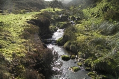 26. Approaching confluence with Chetsford Water