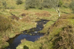 27. Confluence with Chetsford Water