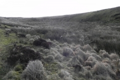 3. Looking upstream to source