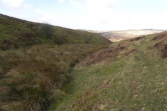 4. Looking downstream