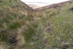 7. Looking downstream