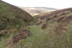 8. Looking downstream