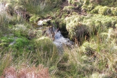 9. The first cascade