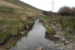 47. Downstream from Emmett's Grange