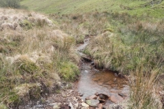 50. Waters flowing down from Hangley Cleave