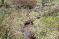 51. Waters flowing down from Hangley Cleave