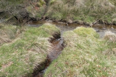 52. Waters flowing down from Hangley Cleave