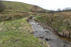 55. Flowing down to Pine Wood