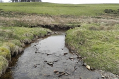 56. Flowing down to Pine Wood