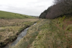 58. Flowing down to Pine Wood