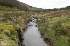 61. Looking upstream from Kinsford Water Footbridge