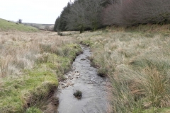 62. Looking downstream from Kinsford Water Footbridge
