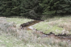 64. Flowing down to Pine Wood