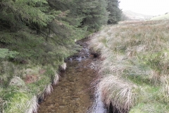 71. Looking upstream from Kinsford Water Footbridge B