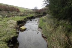 72. Looking downstream from Kinsford Water Footbridge