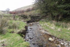 73. Flowing past Pine Wood