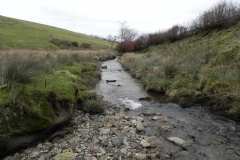 76. Downstream from Pine Wood