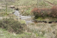 77. Downstream from Pine Wood