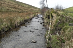 78. Downstream from Pine Wood