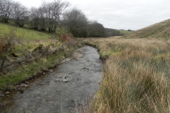 79. Downstream from Pine Wood