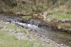 81. Downstream from Pine Wood