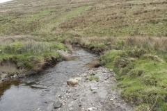 82. Downstream from Pine Wood