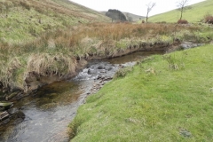 83. Downstream from Pine Wood