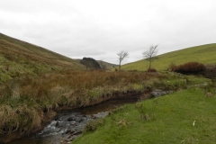 84. Downstream from Pine Wood