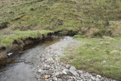 85. Downstream from Pine Wood
