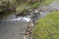 86. Downstream from Pine Wood