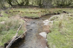 88. Downstream from Kinsford Water Bridge C