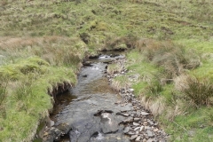 89. Tributary stream from west of Wintershead Farm