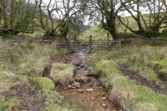 90. Tributary stream from west of Wintershead Farm