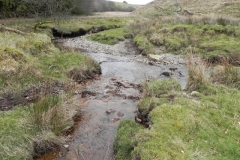 91. Tributary stream from west of Wintershead Farm