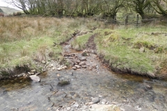 92. Tributary stream from west of Wintershead Farm