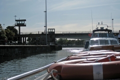 IMG_1310_edited